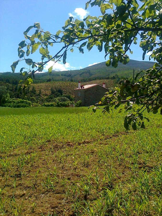 Casa Do Salgueiral Βίλα Fundão Εξωτερικό φωτογραφία