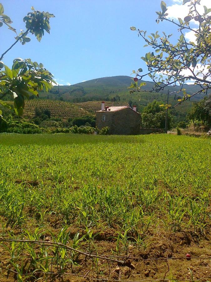 Casa Do Salgueiral Βίλα Fundão Εξωτερικό φωτογραφία