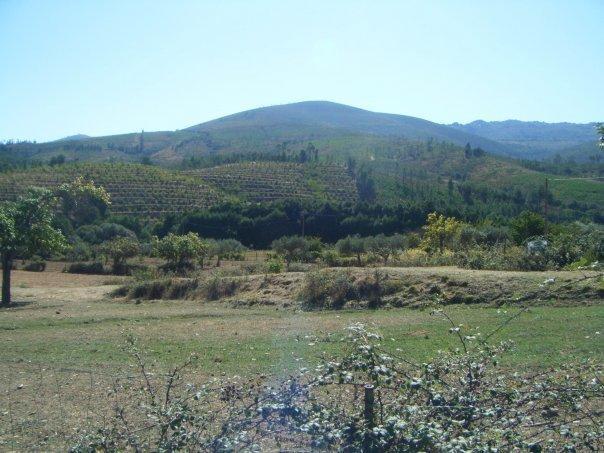 Casa Do Salgueiral Βίλα Fundão Εξωτερικό φωτογραφία